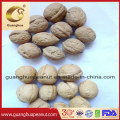 Walnut in Shell by All People for Eating